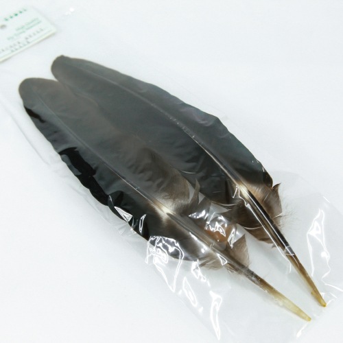PEACOCK QUILL BLACK
