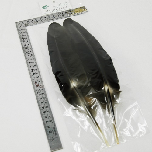 PEACOCK QUILL BLACK