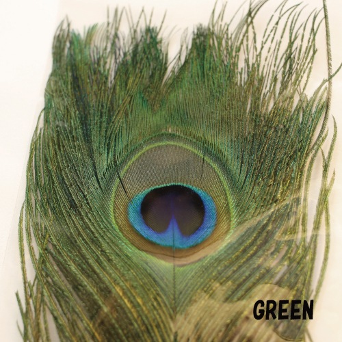 PEACOCK EYE