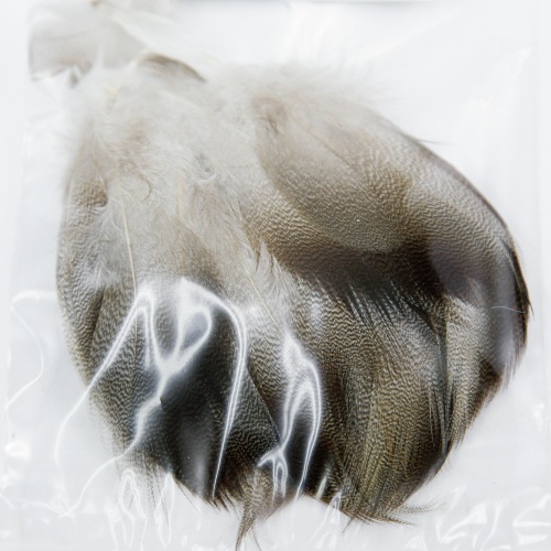 BROWN MALLARD Bluk Pack