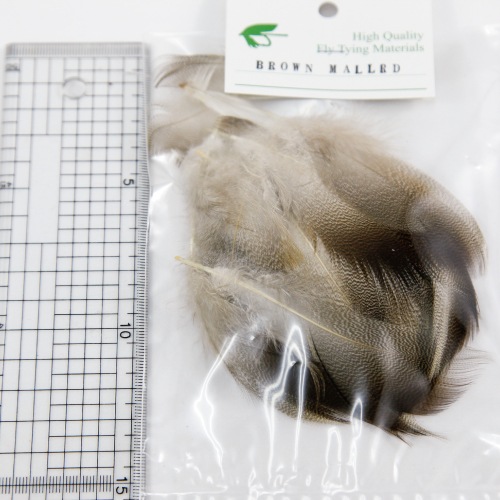 BROWN MALLARD Bluk Pack