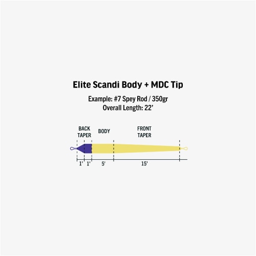 Elite Scandi Body | ブランドから探す,RIO | WALTON'S INC