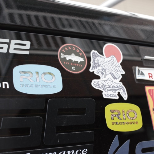 Brown Trout Logo Decal