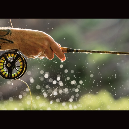 EDC | ブランドから探す,REDINGTON | WALTON'S INC