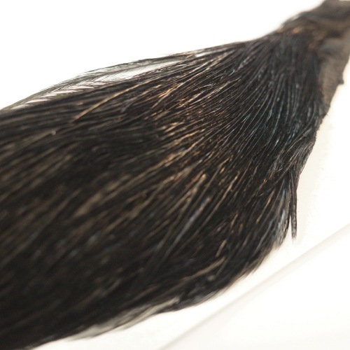 KEOUGH コックネック1/2 BLACK＃2 | ブランドから探す,CANAL