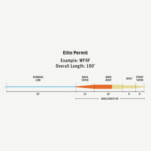 ELITE PERMIT | ブランドから探す,RIO,海水用,高水温用 | WALTON'S INC