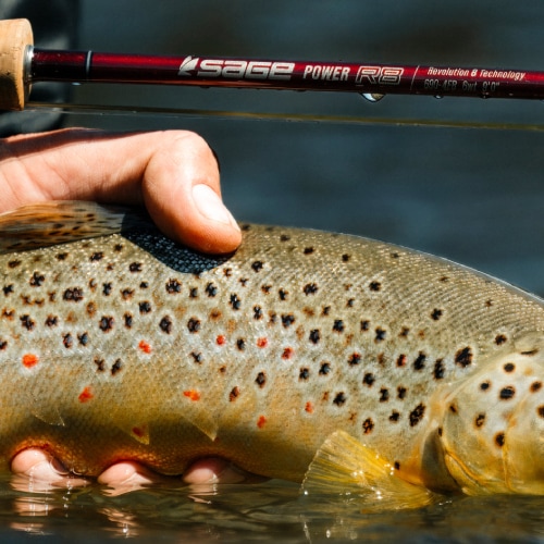 POWER R8 | ブランドから探す,SAGE,ロッド,淡水用 | WALTON'S INC