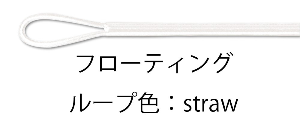 リオページ RIO InTouch replacement 10ft Tips | ドリーバーデン