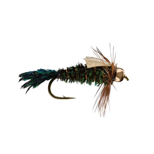 Zug Bug Bead