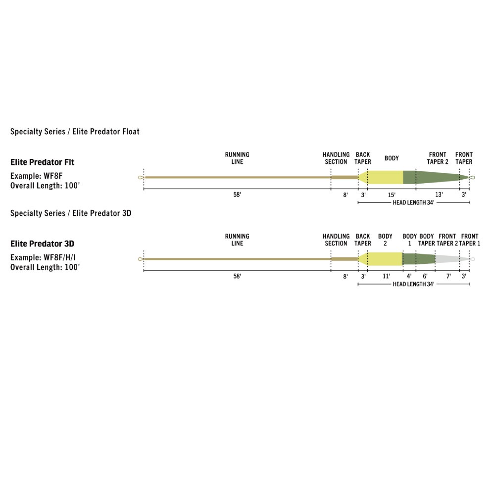 Elite Predator | ブランドから探す,RIO,淡水・海水両用 | WALTON'S INC