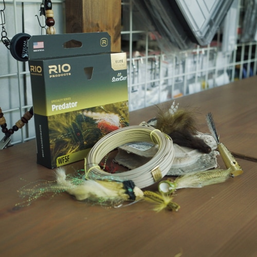 Elite Predator | ブランドから探す,RIO,淡水・海水両用 | WALTON'S INC