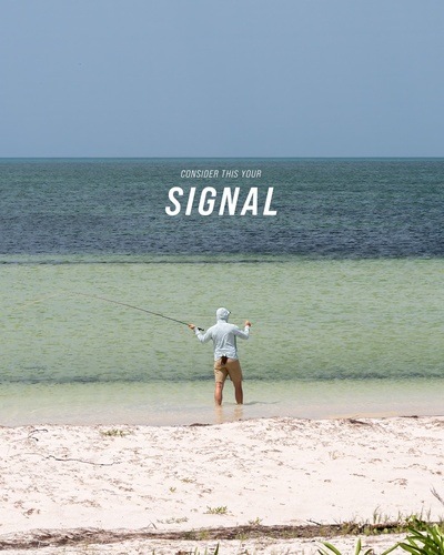 SIGNAL 
