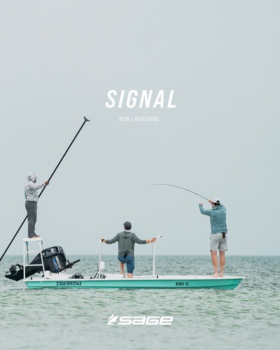 SIGNAL 