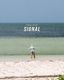 SIGNAL 