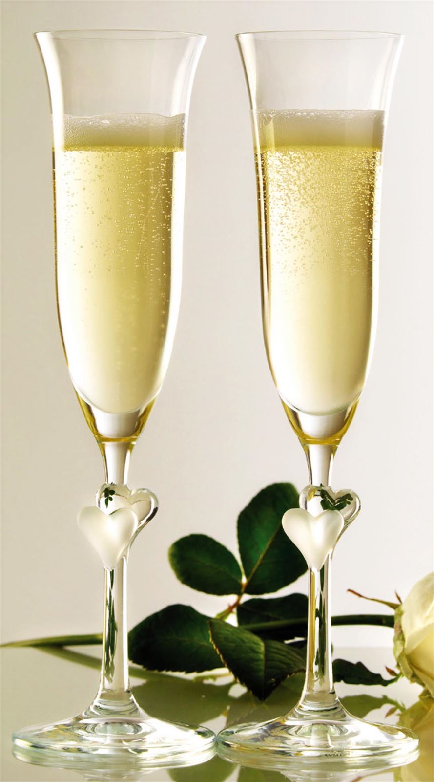 ��ࡼ�� �����ѥ󥰥饹 ���ƥ���ϡ��� �ڥ���