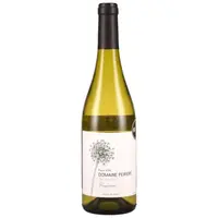 ����-Ctype�ۥ������˥����ǥ����롡��