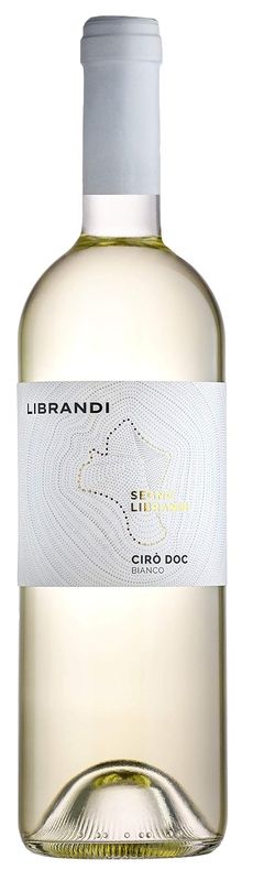 ����-Btype�ۥ������ӥ��󥳡���֥��ǥ�