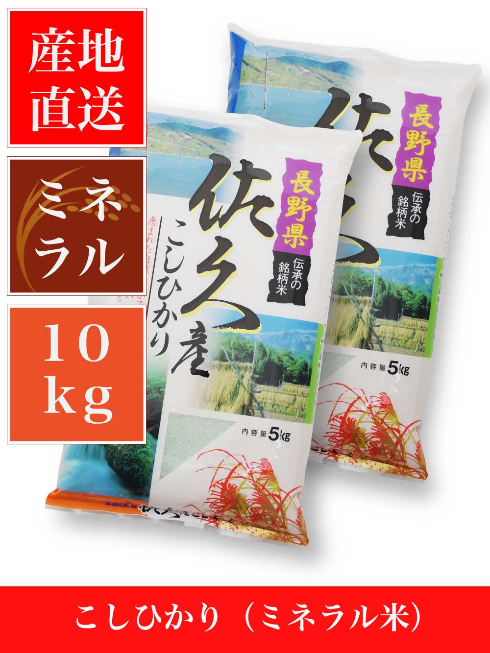 【送料無料】令和8年長野県佐久市産コシヒカリミネラル米【10kg】