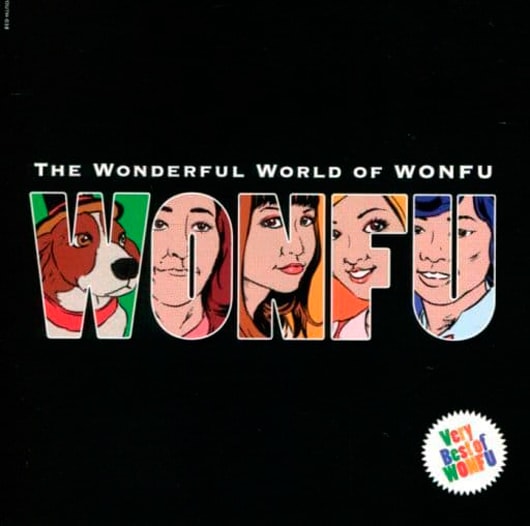 THE WONDERFUL WORLD OF WONFU����ʡ