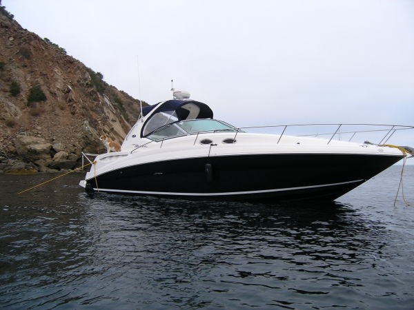 SEARAY 320 ������󥵡�
