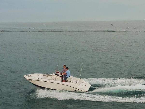 ����������Yamaha Marine 190 FSH����USA��