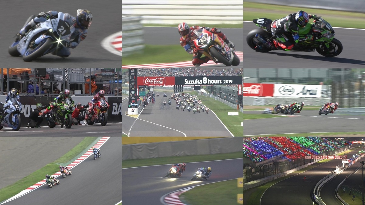 �������оݡ�2019�ȥ�������������뼯�������ѵץ����ɥ졼������DVD