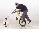 BMX2HOW TO FLATLANDѡեȥޥ˥奢