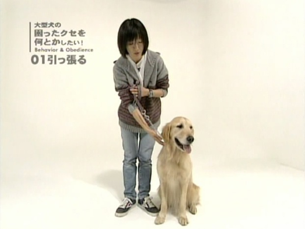 ��ȥ꡼�С����緿���κ��ä������򲿤Ȥ���������