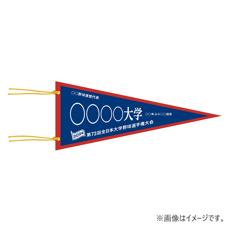 第73回全日本大学野球選手権大会　ペナント　南東北大学野球連盟