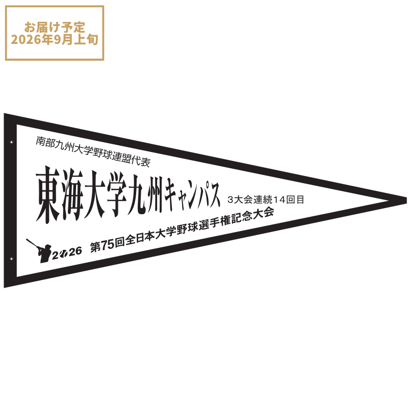 第75回全日本大学野球選手権記念大会 ペナント 南部九州大学野球連盟