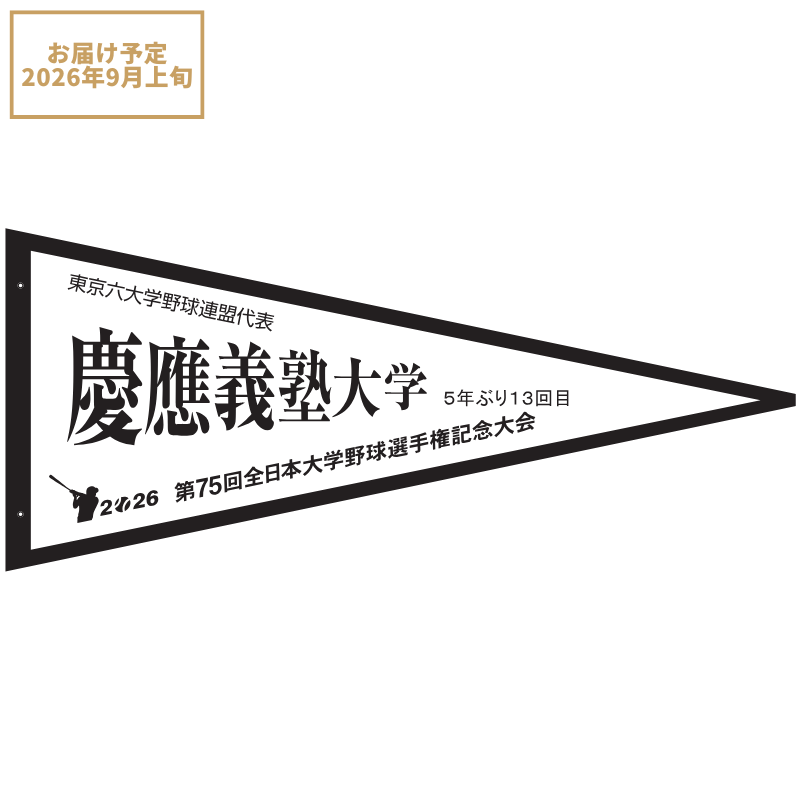 慶應義塾大学