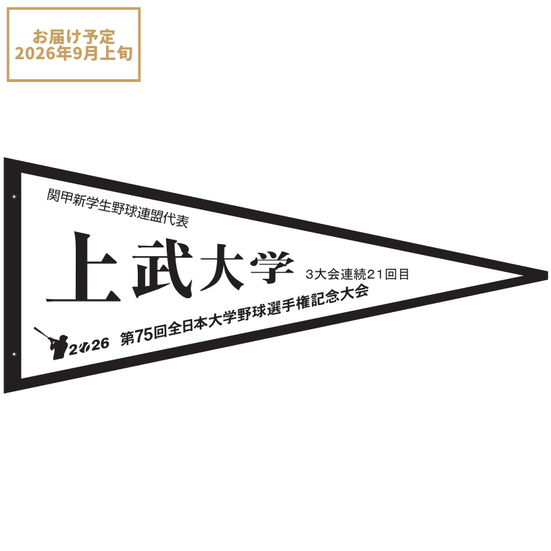 上武大学