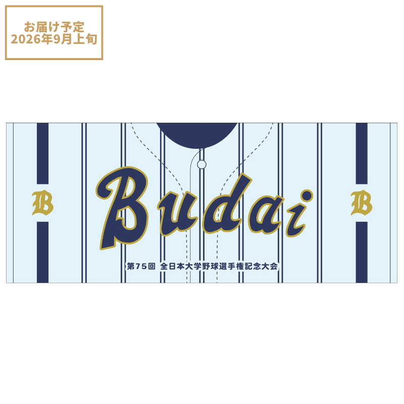 第75回全日本大学野球選手権記念大会 出場校名入りボールセット