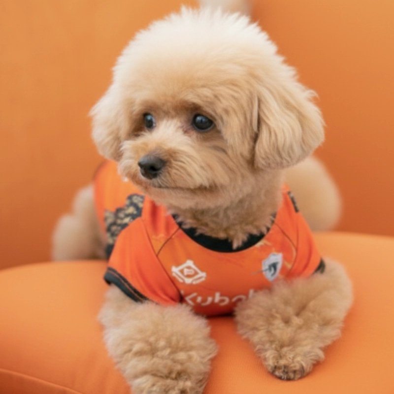 【再販】クボタスピアーズ ジャージーデザインドッグユニ（小型犬）【受注商品】