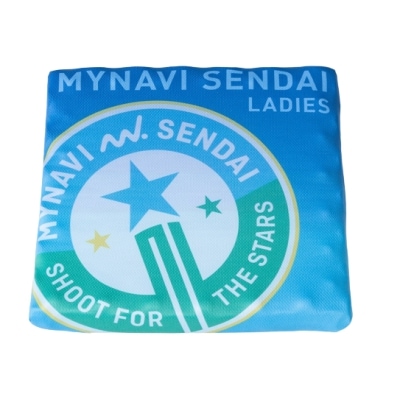 マイナビ仙台レディース スタジアムクッション(高反発)収納ケース付