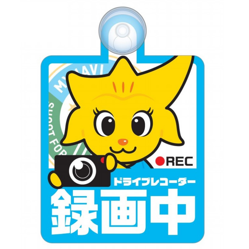 マイナビ仙台レディース 23-24 カーサイン（ドラレコver.）