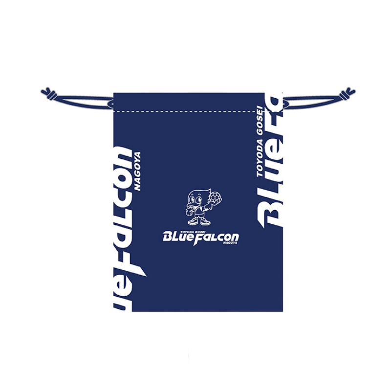 豊田合成ブルーファルコン名古屋 シューズケース