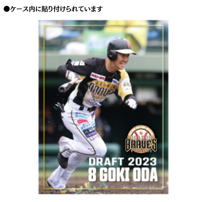 栃木ゴールデンブレーブス 尾田 剛樹選手 ドラフト指名記念 記念ボール【受注生産】