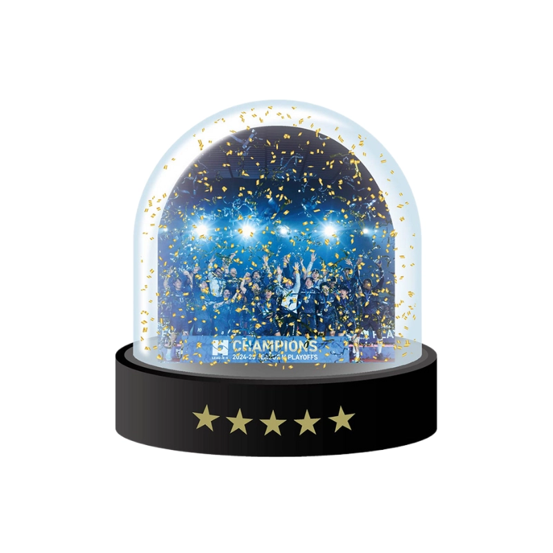 豊田合成ブルーファルコン名古屋 2024-25優勝記念スノードーム