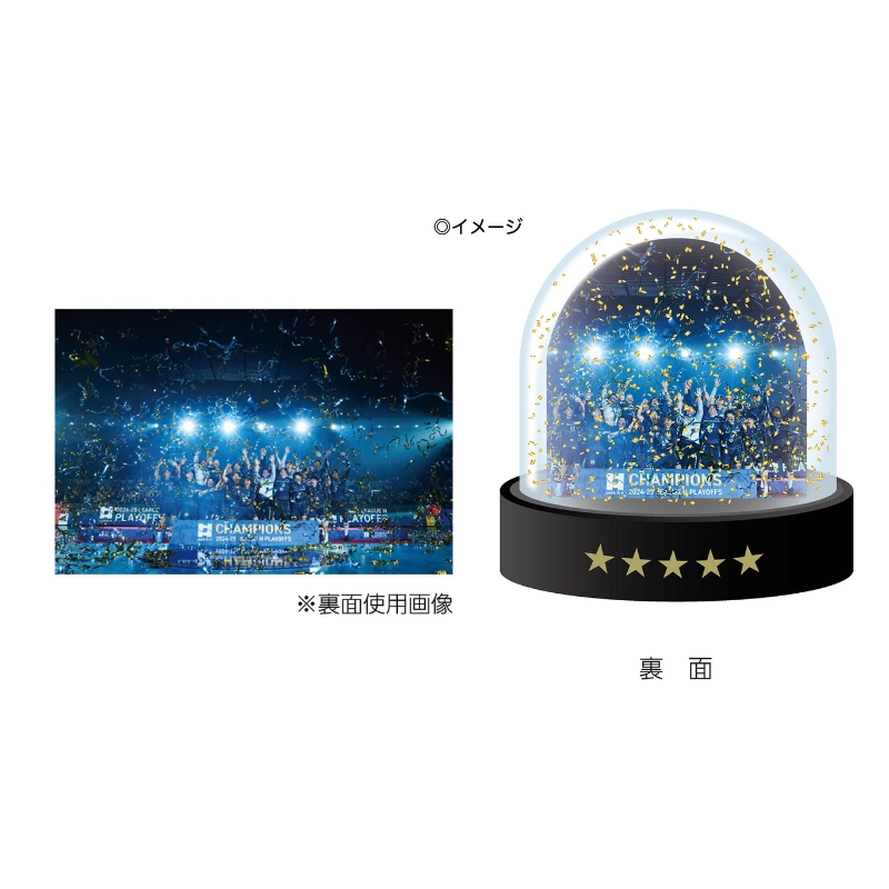 豊田合成ブルーファルコン名古屋 2024-25優勝記念スノードーム