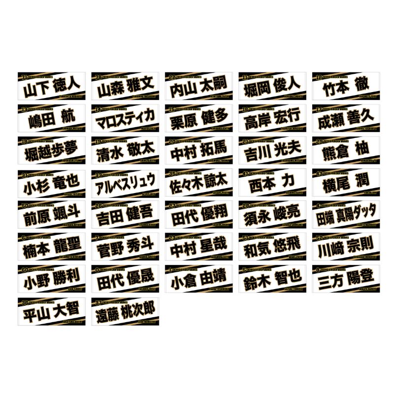 栃木ゴールデンブレーブス 2025選手別フェイスタオル【受注生産】