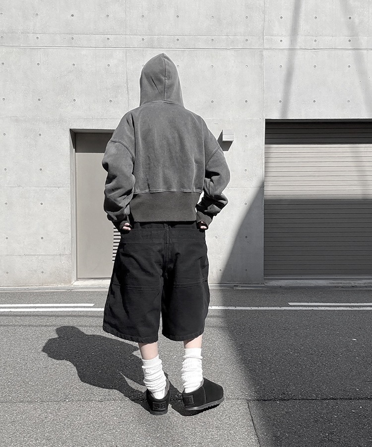 Pigment Short Zip Hoodie