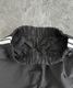 Side Line Short Pants