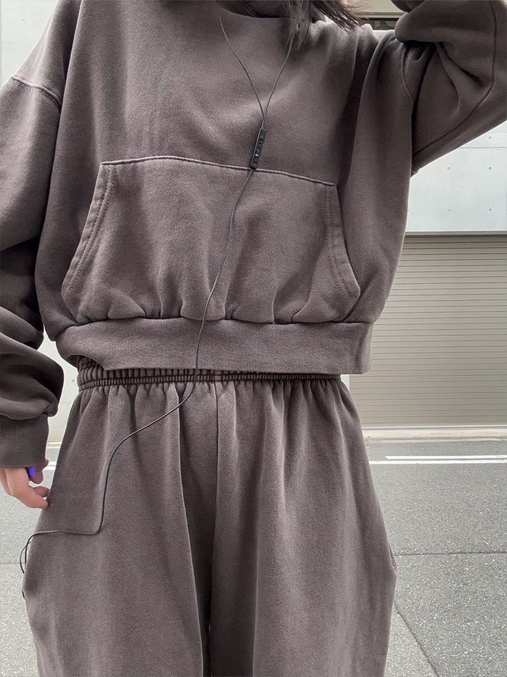 pigment sweat hoodie