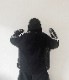 Mesh Line Hoodie