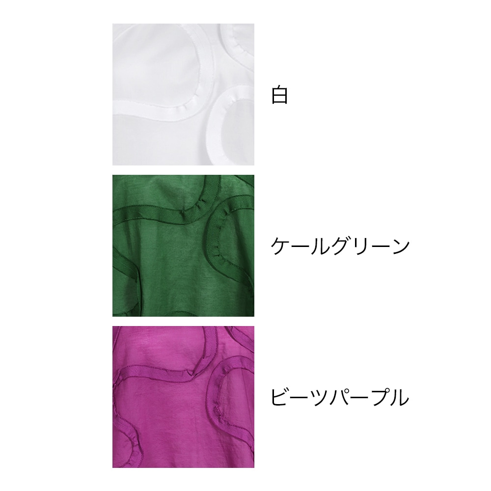 カツラギアイビースラッシュテープTブラウス