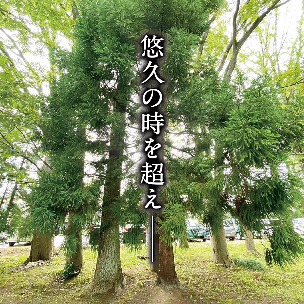 長期熟成古酒 悠久乃杜 2011年 | 長期熟成古酒 | 吉乃川公式オンライン