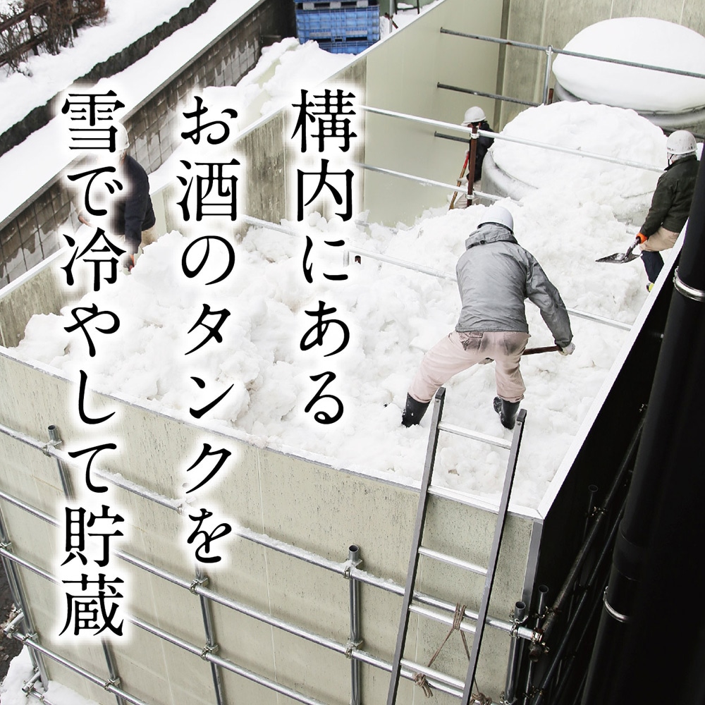 雪中貯蔵　純米