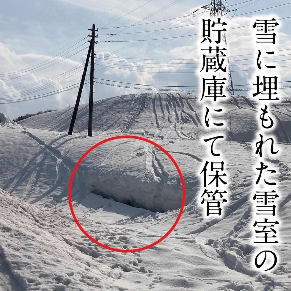 特別栽培米「五百万石」純米吟醸無濾過原酒＜雪室瓶囲い＞