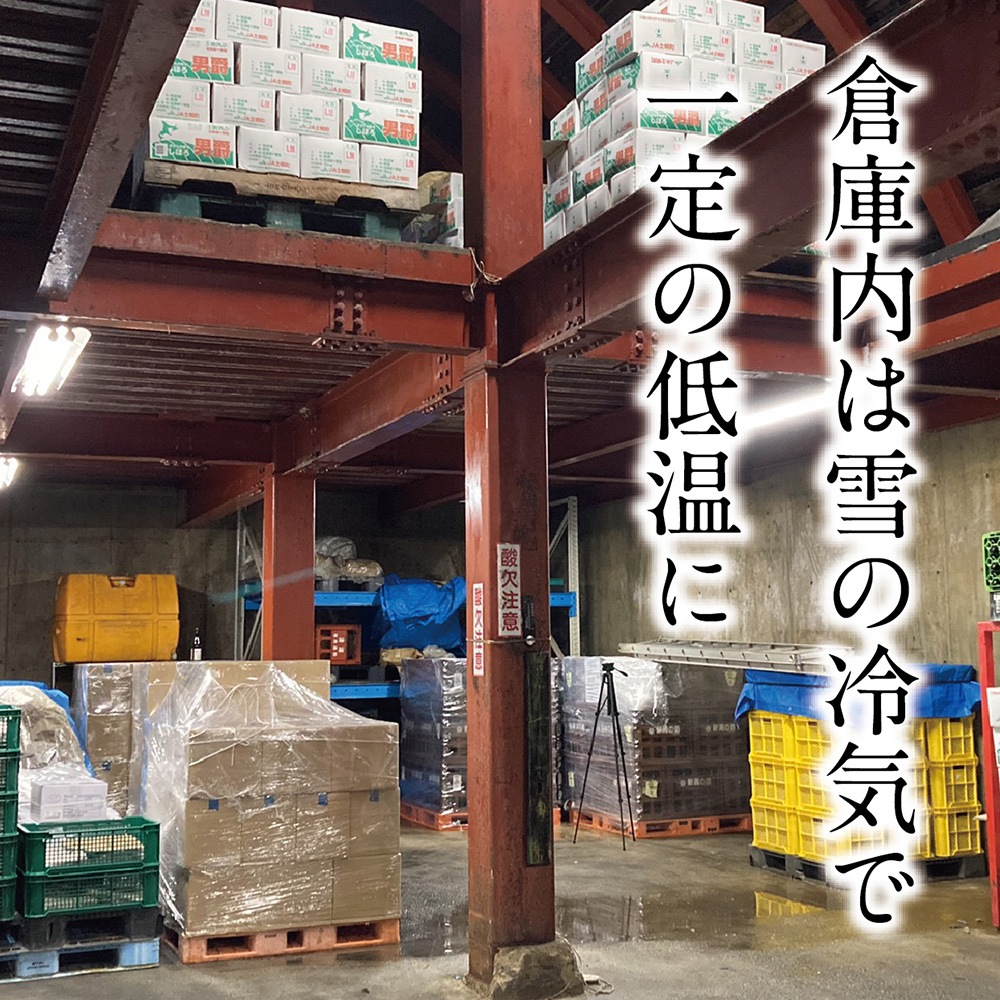 特別栽培米「五百万石」純米吟醸無濾過原酒＜雪室瓶囲い＞